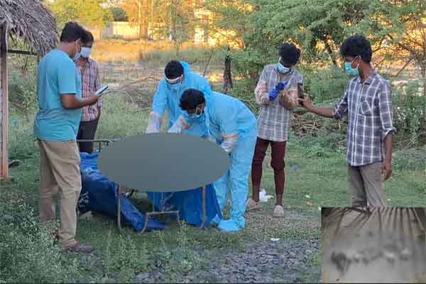 Police investigating Cuddalore dt Chidambaram Annamalai Nagar dogs incident