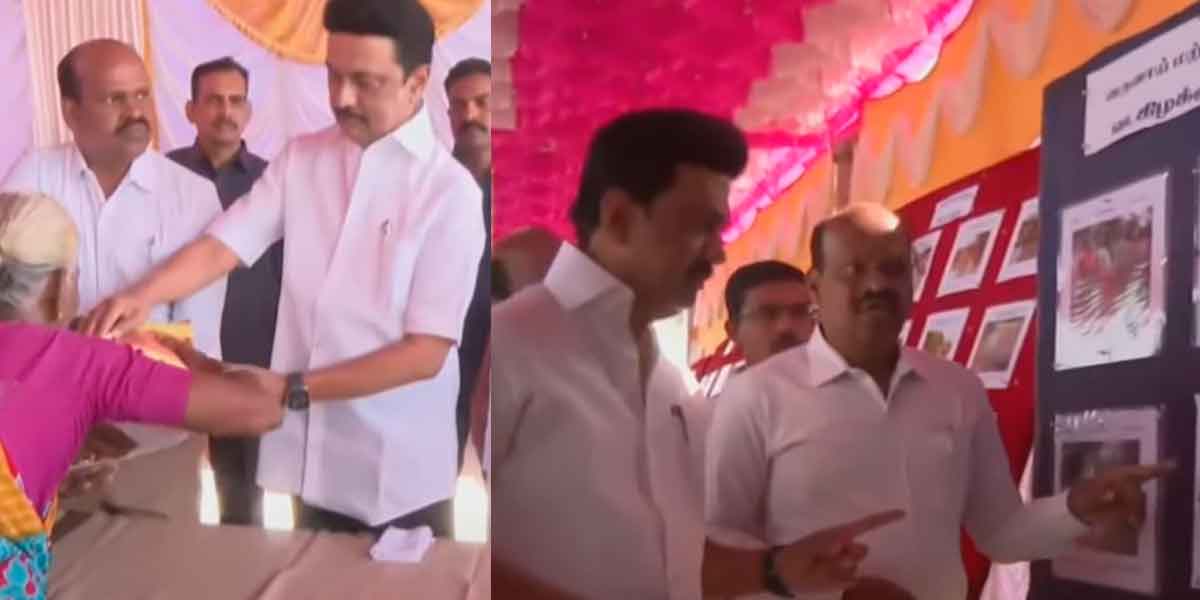dmk