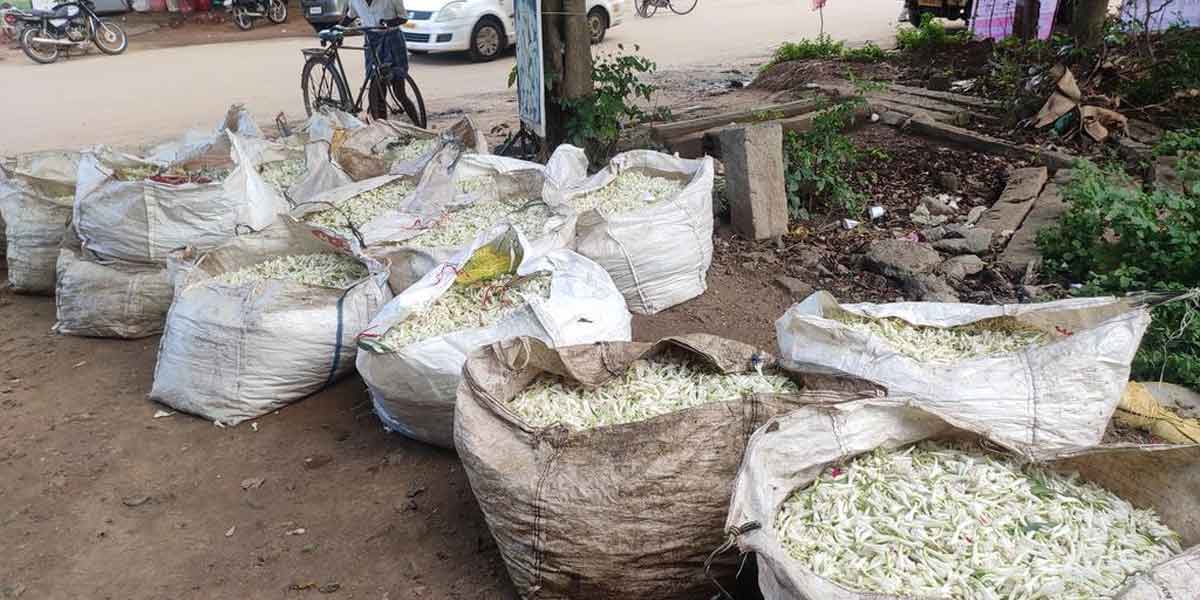 How will our life smell if so much goes to waste - Flower farmers in agony
