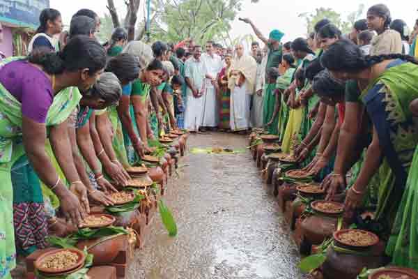Stoveless Equality Pongal ..!