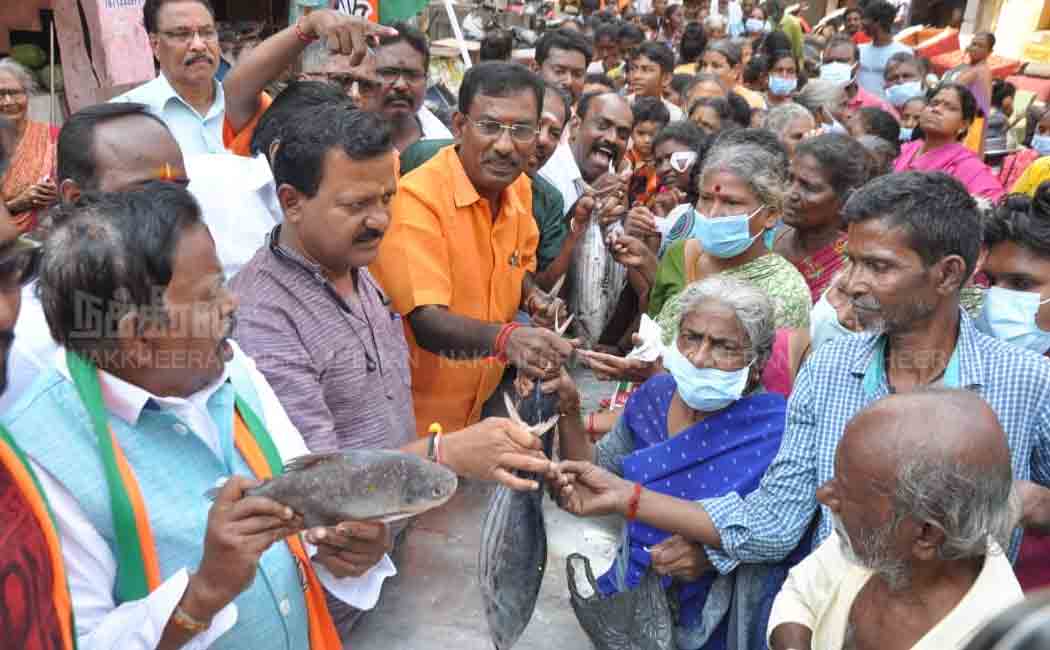 BJP victory celebration! Fisher team celebrating fish supply