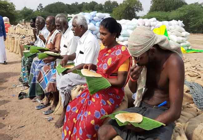 Back to the traditional field dosa sivagangai district