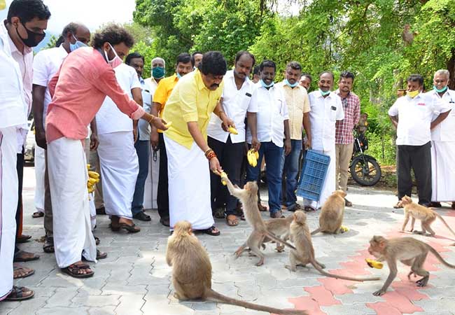 tamilnadu minister rajendra balaji provide foods for animals