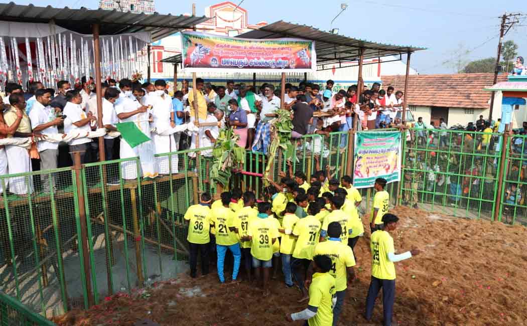 Minister Anbil Mahesh who started the Jallikattu competition