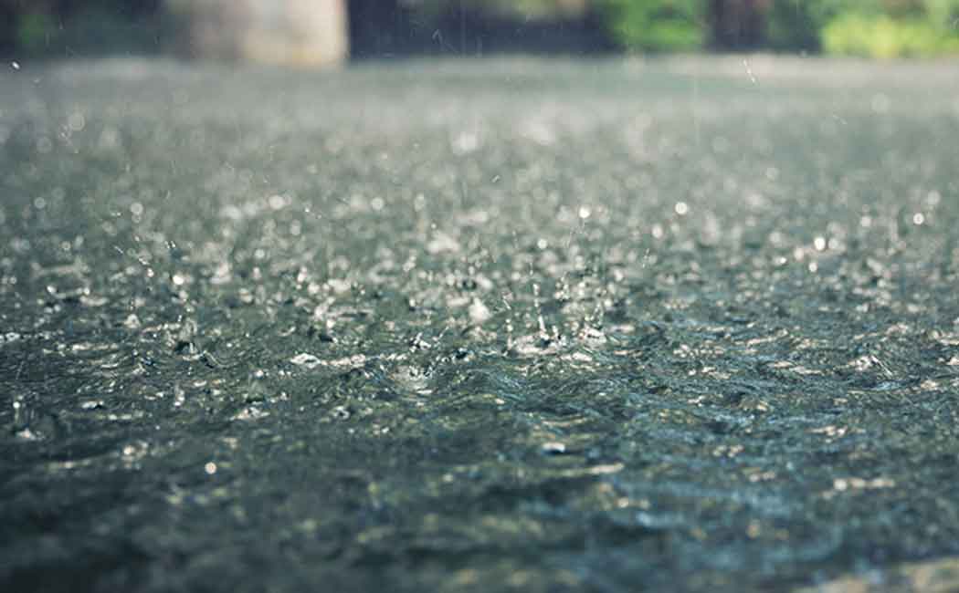 rain