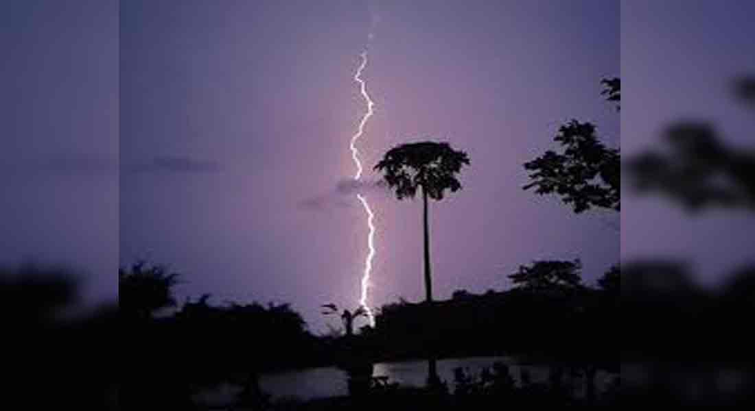 incident in kattumannarkovil