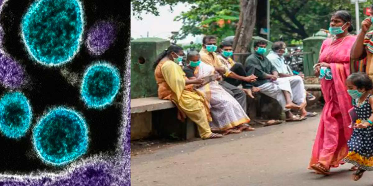Nifa virus echo; 'Don't disturb the bat and let it fly' - Minister advises