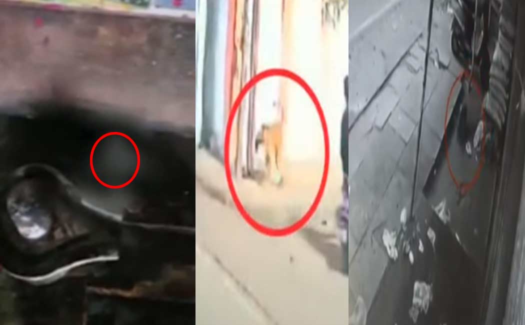 Pieces of meat lying in the temple in hyderabad