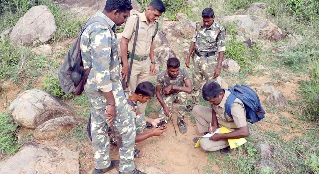 Increasing number of leopard and tiger in the Sathyamangala forest