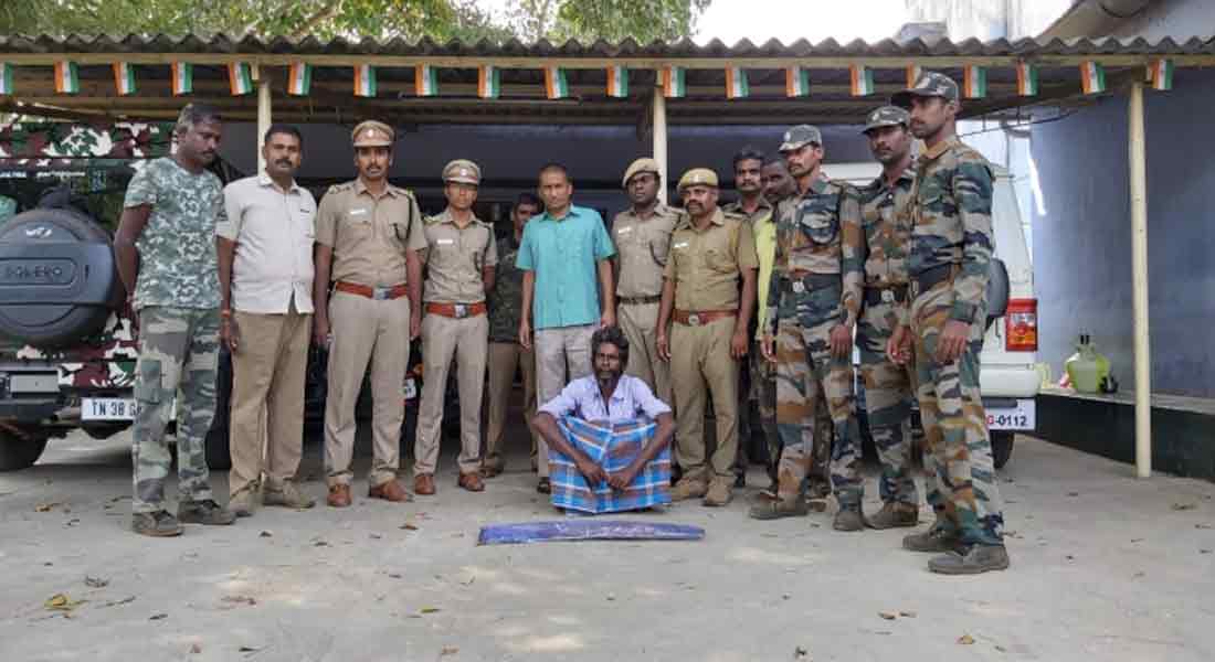 Crocodile hunt ... one arrested
