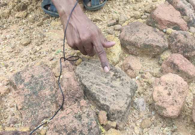 Electromagnetic wave study for Porpanaikottai excavation ... Discovery of cat footprint brick!