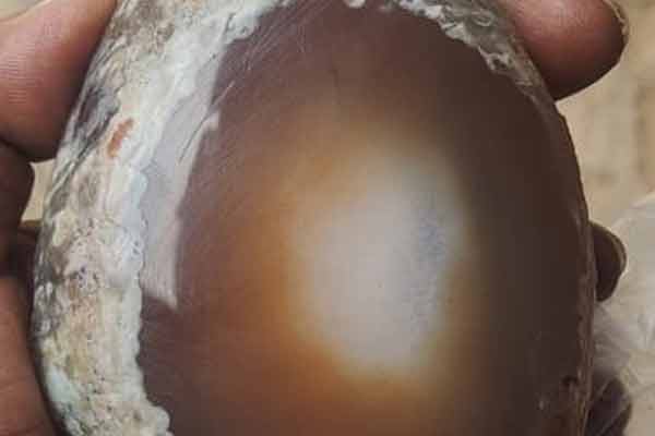 tirunelveli kalakad vitreous stones incident filed case in two persons