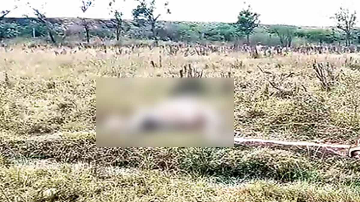 The death of a cow that went to graze - the villagers are in panic due to the notification of the forest department