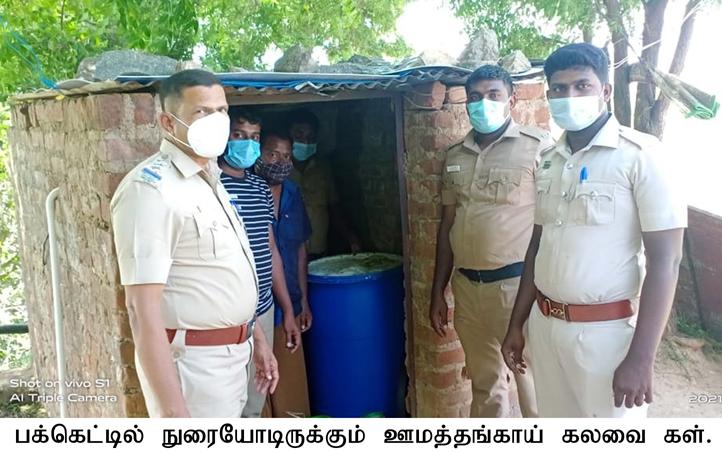 Lemongrass mixed in cash for more intoxication ... Breakdown of drug trafficking