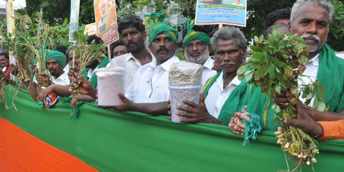 Welcome to Modi ... AIADMK flags that do not catch the eye!