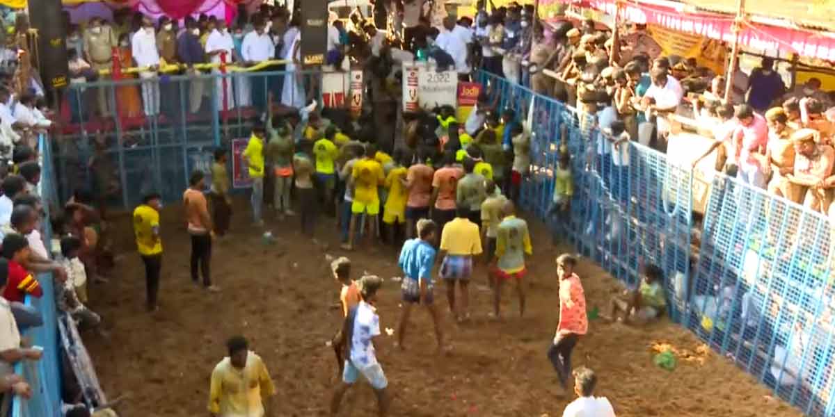 jallikkattu
