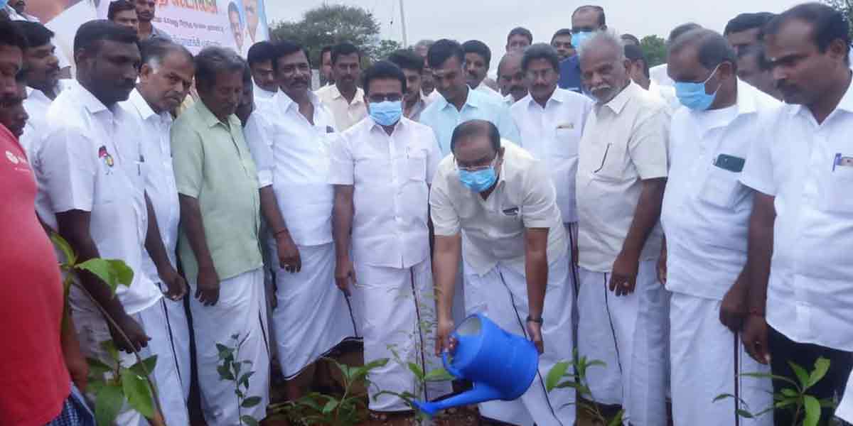 Minister inaugurates 4444 saplings on the eve of Udayanithi Stalin's birthday!