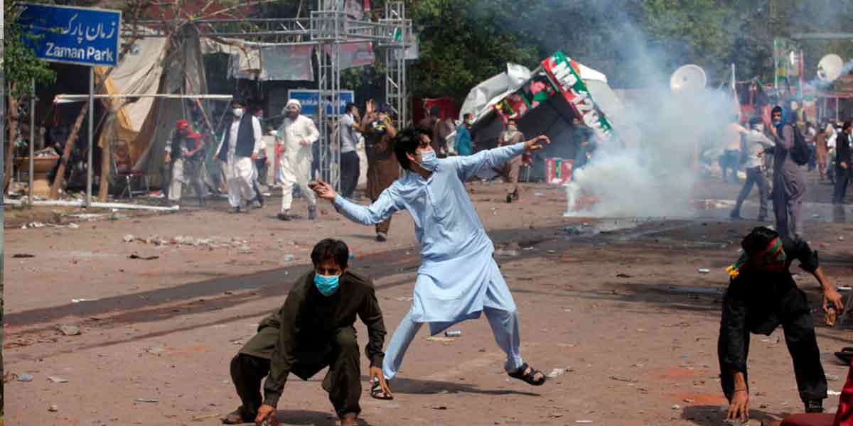 Imran supporter who stole peacock amid riots