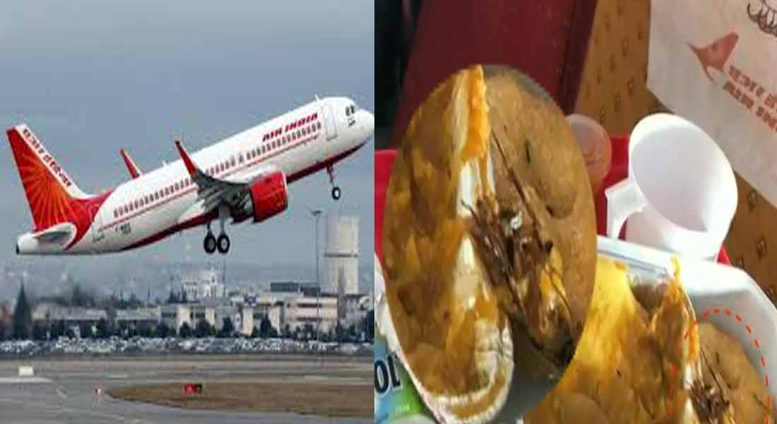 Cockroach in the food provided on the air india plane; Traveler complains