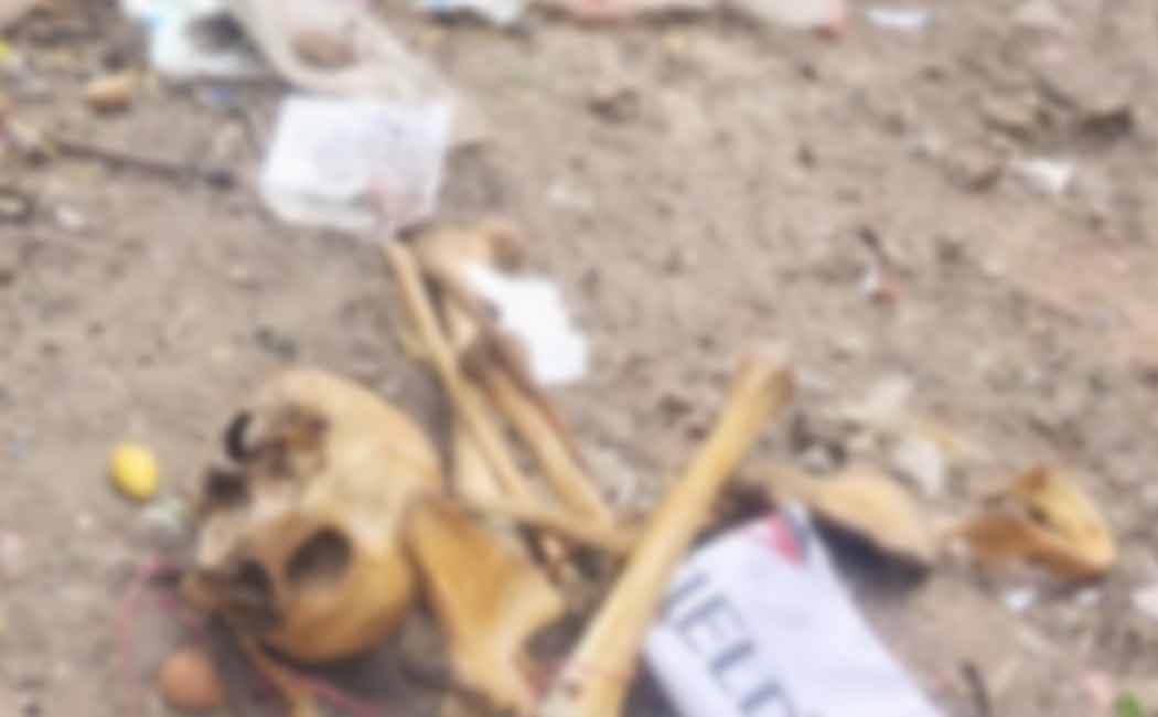 Skull, hand and foot bones discovered in Chidambaram