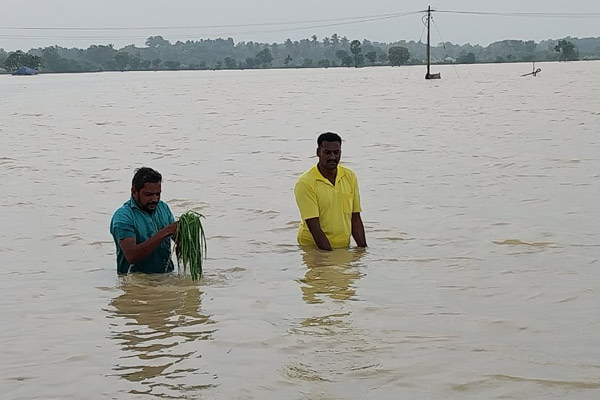 Minister MRK Panneerselvam said Action to provide relief to flood victims