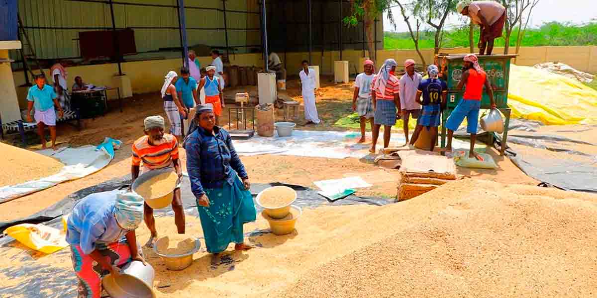 Increase in moisture content of paddy procurement; Notification of Central Govt