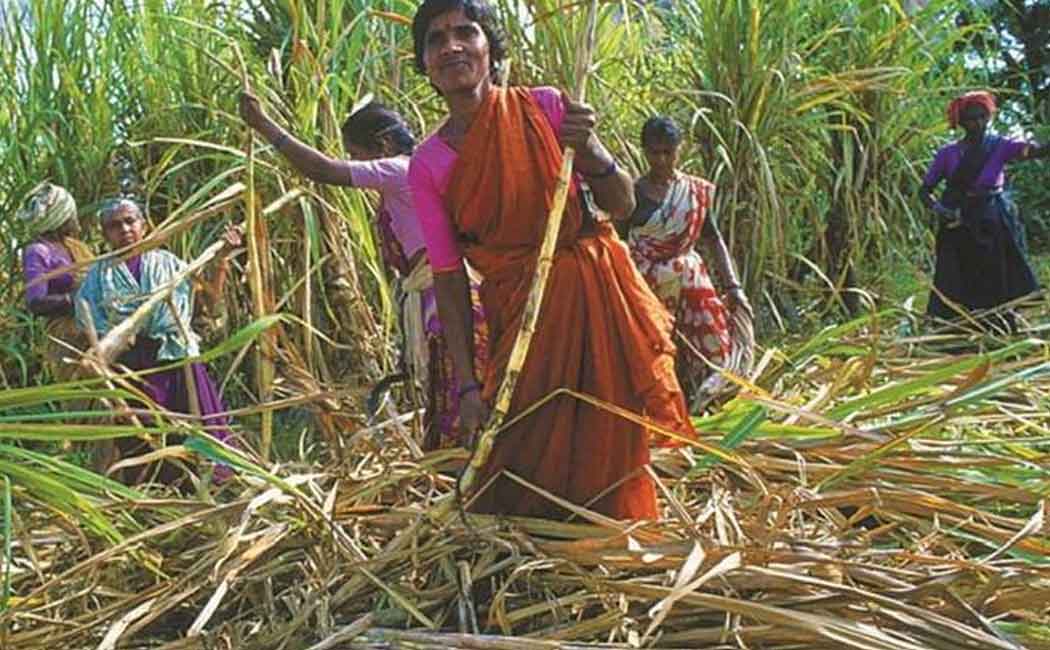 "Struggle in front of the sugar mill to stress the demands of the farmers" - Sugarcane Farmers Resolution