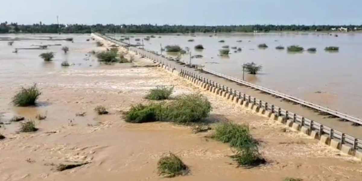 lake fish in kanjipuram