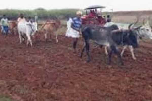 Farmers returning to natural agriculture!