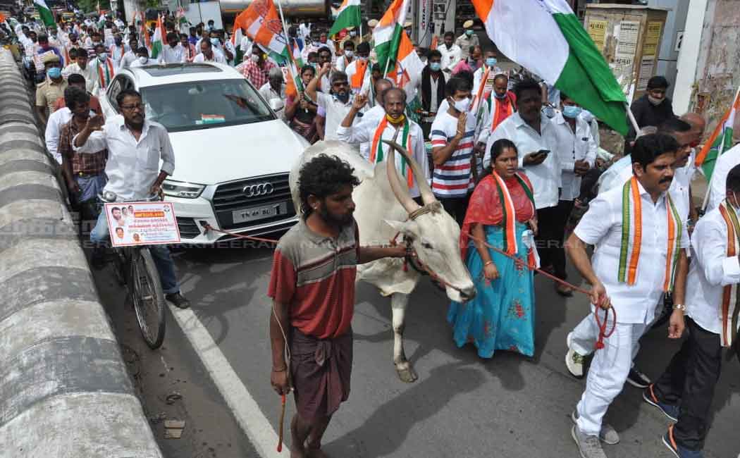 Congress party held a bicCongress party held a bicycle rallyycle rally