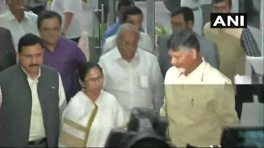 mamta