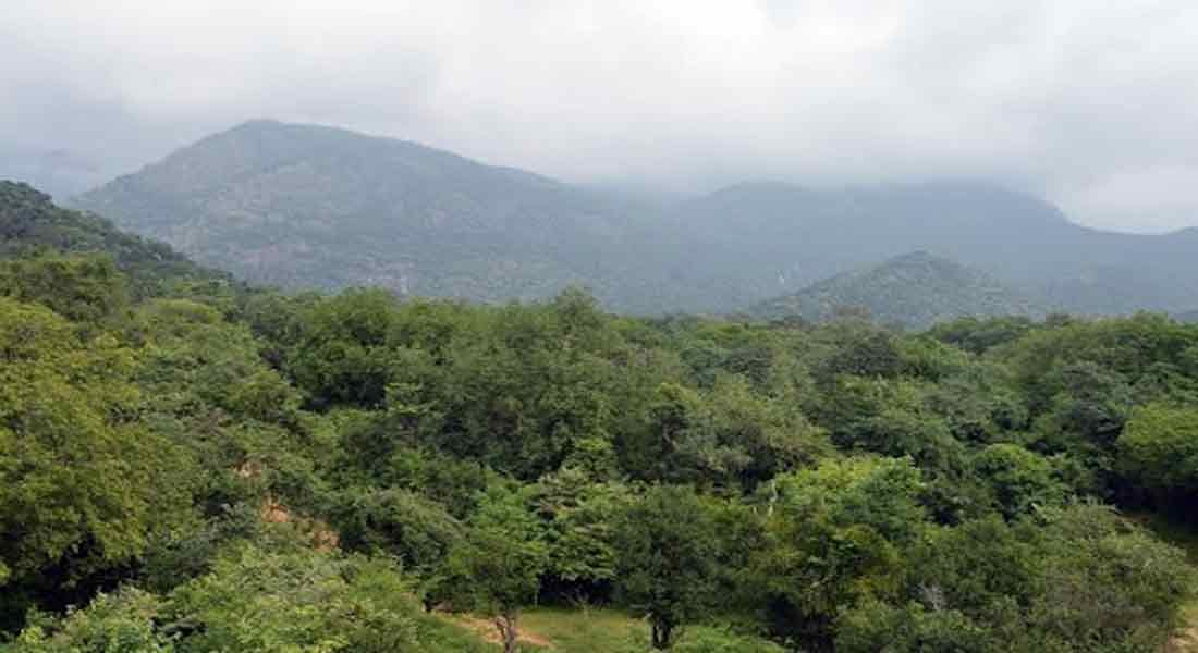 Case for protecting the natural resources of the mountains! National Green Tribunal to be approached