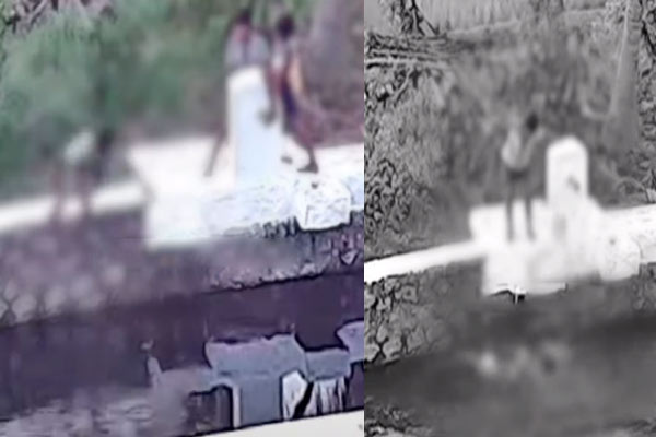 A boy who tripped and fell into a well; Shocking CCTV footage