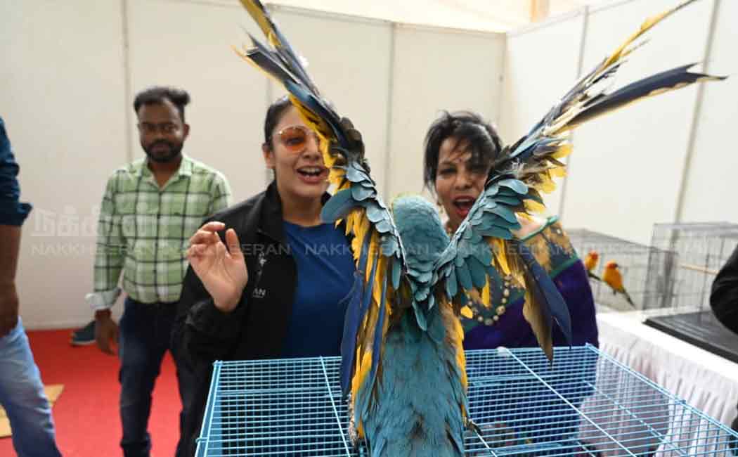 pet and dog show in chennai nandanam ymca ground