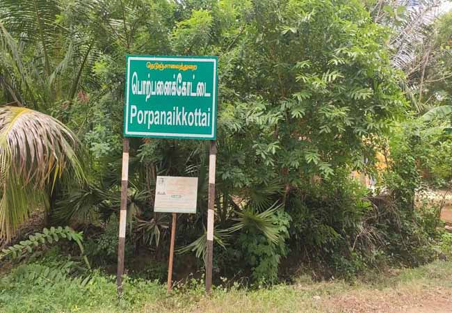 Electromagnetic wave study for Porpanaikottai excavation ... Discovery of cat footprint brick!