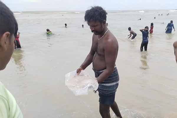 Jellyfish suddenly washed ashore on the Tiruchendur beach