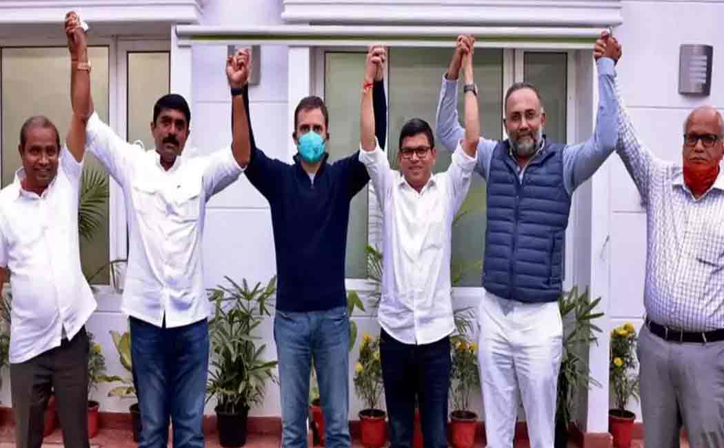 RAHUL - GFP