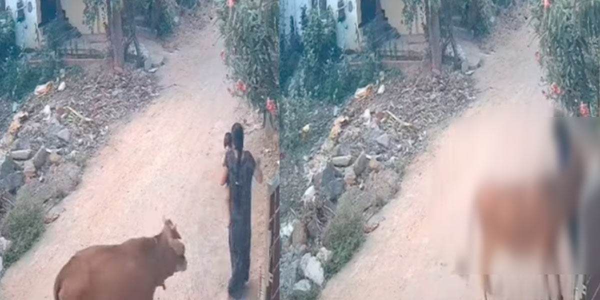 The incident with the woman; Shocking CCTV footage