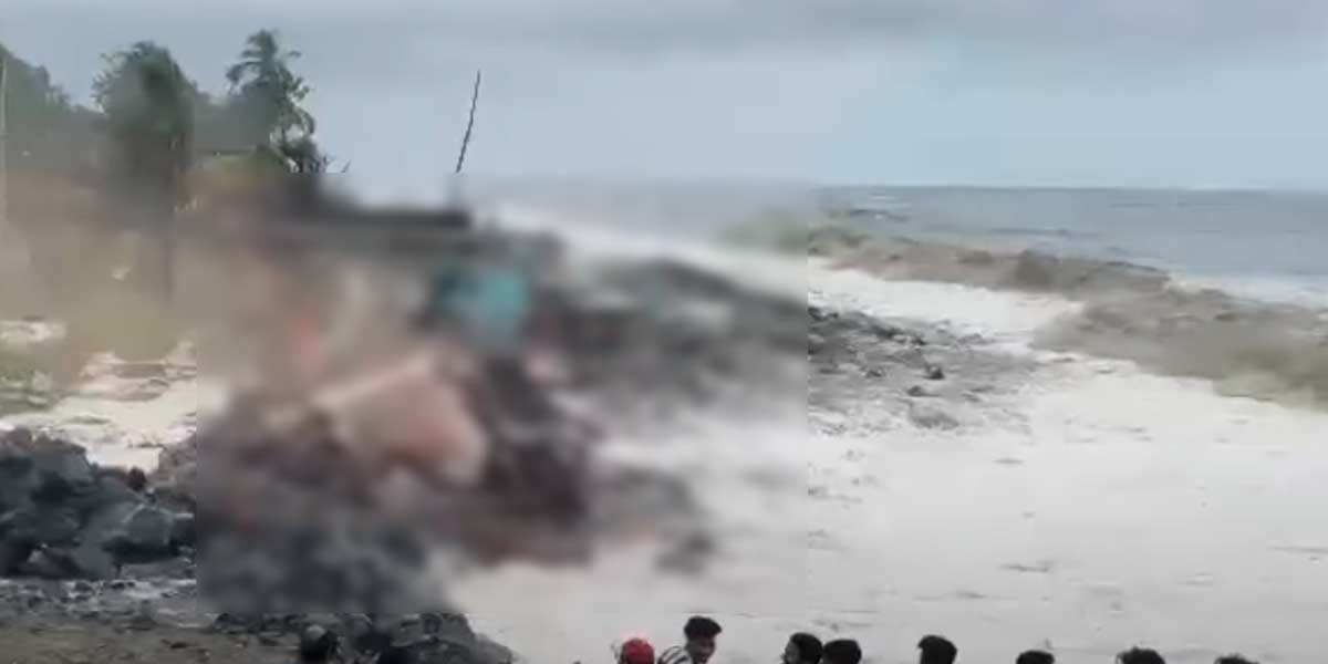 Raging sea waves; Dead forest fishermen in fear