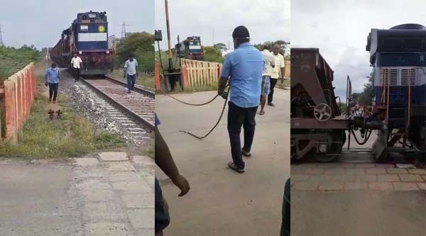 palani dindigul train