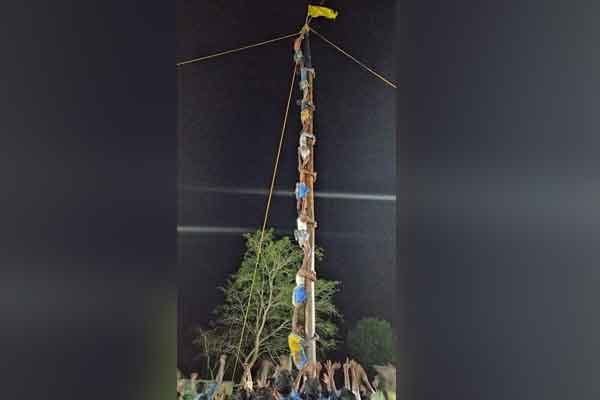 The brisk tree climbing competition ...