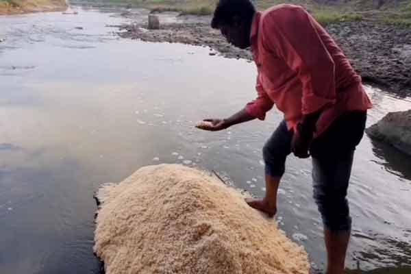ration rice floating in water; Dazzling farmers