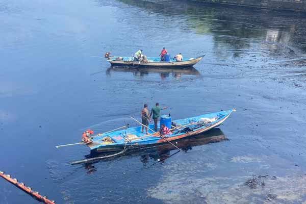 "Oil spill removal work is going on fast" - Tamil Nadu Govt