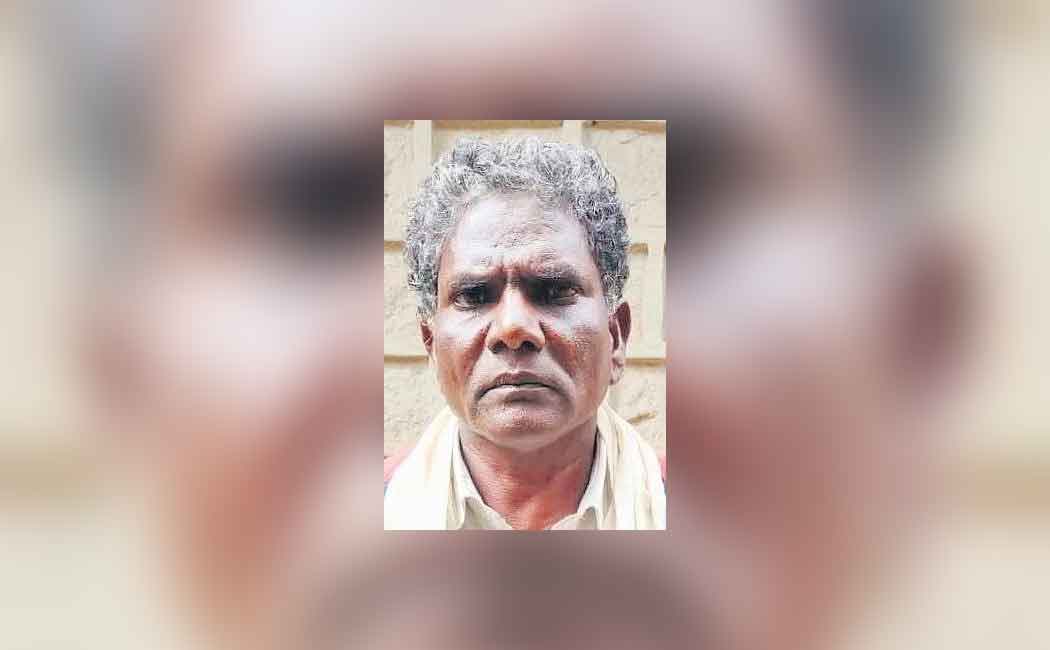 Two tiger passes away case police arrested one
