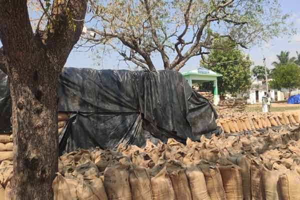 paddy consuming center in pudukkottai district annavasal union