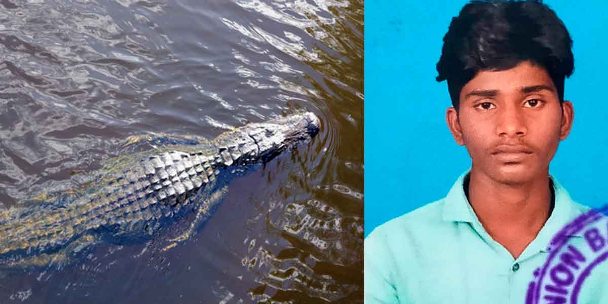 crocodile bitten ITI student by a near Chidambaram