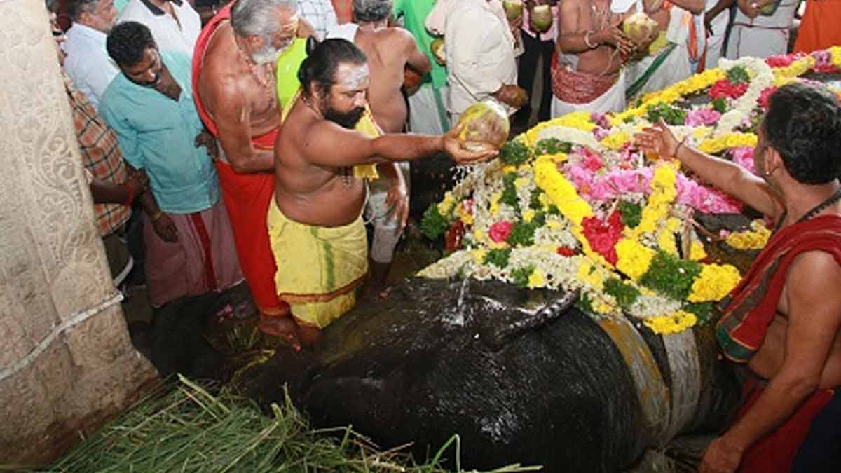 Gandhimati elephant passedaway-screaming devotees