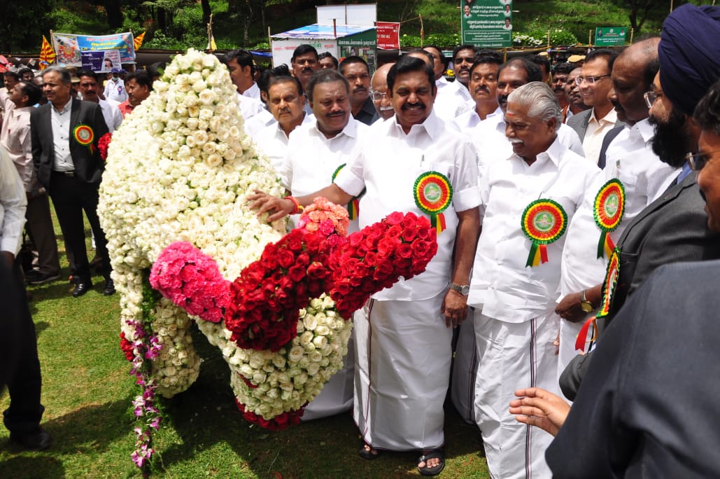 edapadi