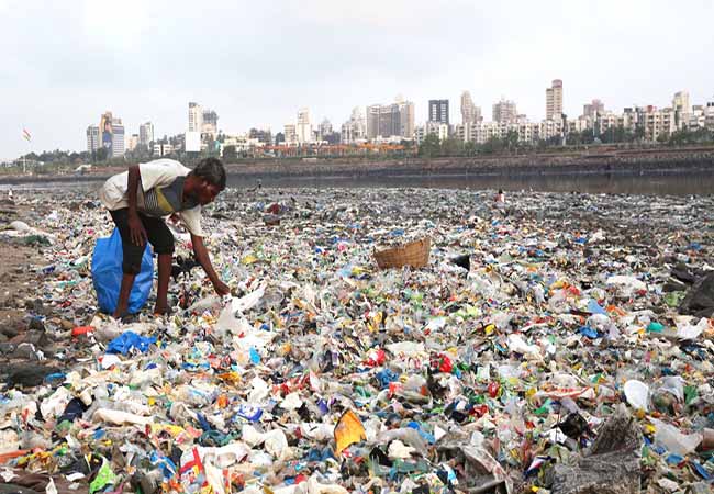 parliament secretary announced plastic did not used in parliament house
