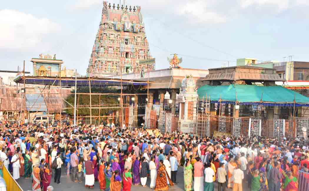 Parthasarathy Temple Festival